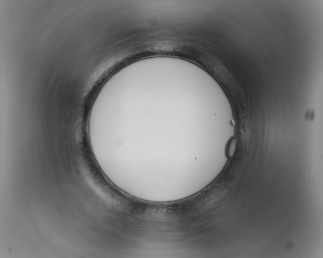 X0000112170728200909041150