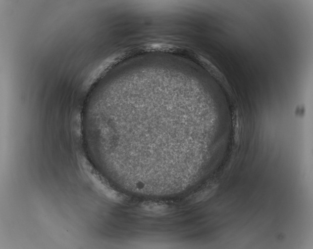 X0000112170729200909041150