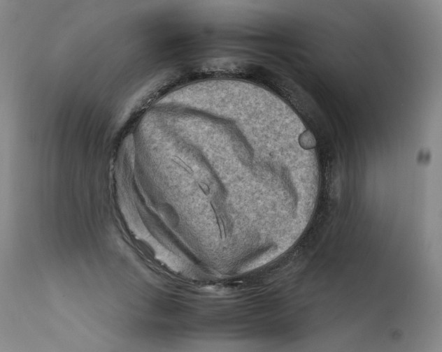 X0000112170735200909041150