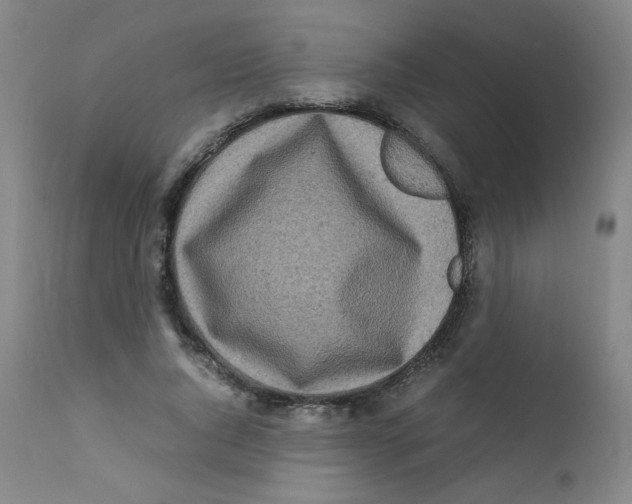 X0000112170736200909041150