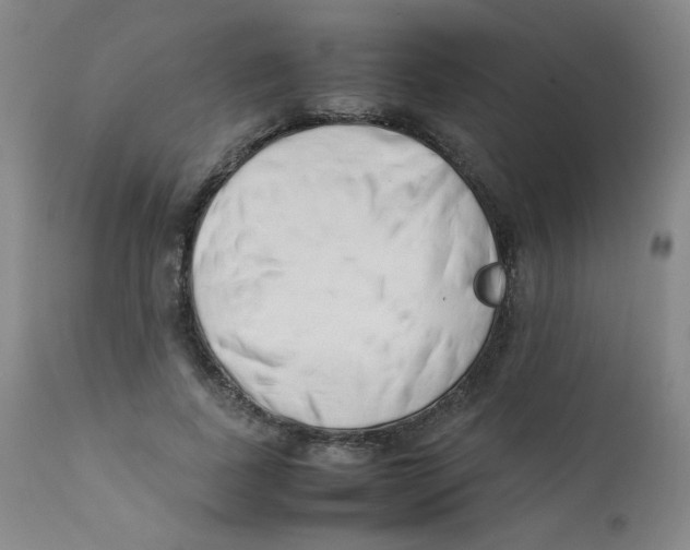 X0000112170739200909041150