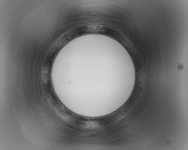 X0000112170741200909041150