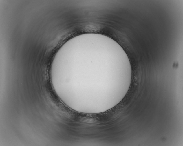 X0000112170743200909041150