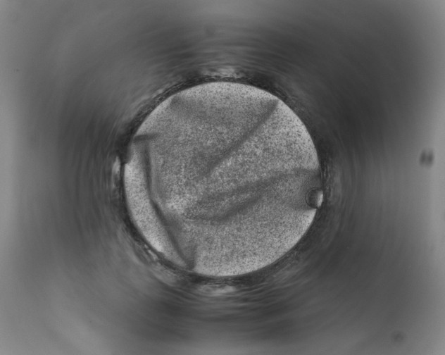 X0000112170747200909041150