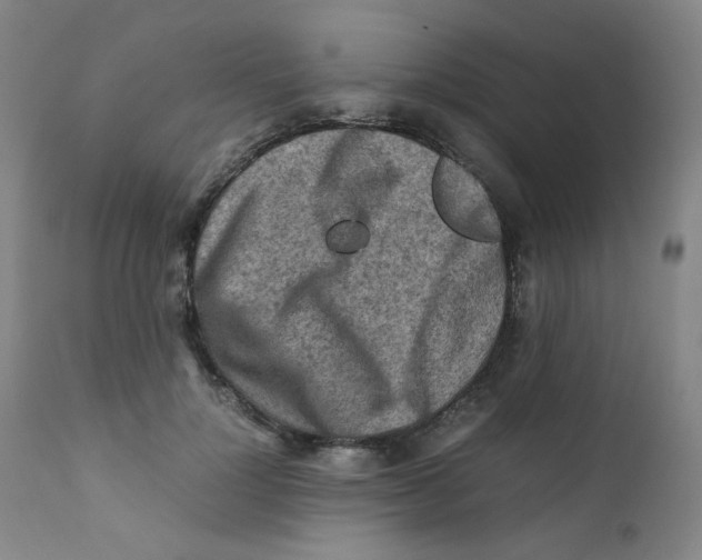 X0000112170748200909041150