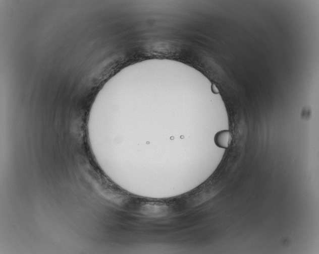 X0000112170749200909041150