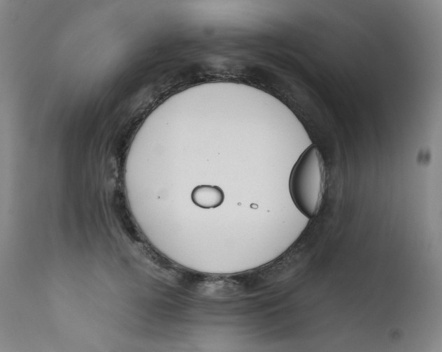 X0000112170752200909041150