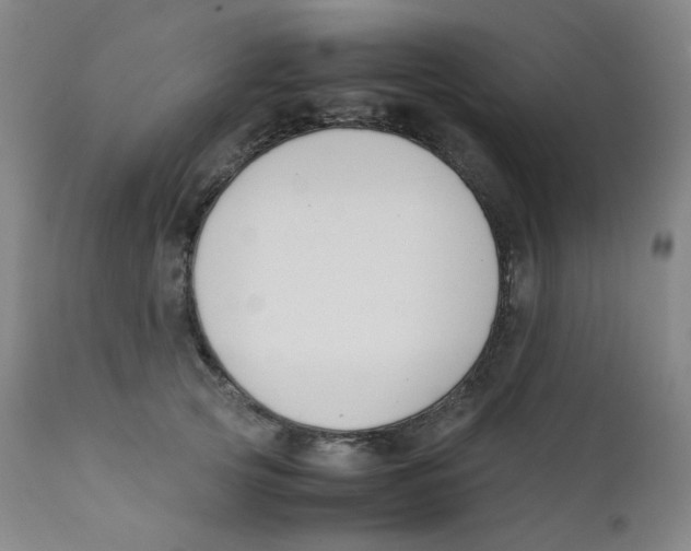 X0000112170753200909041150