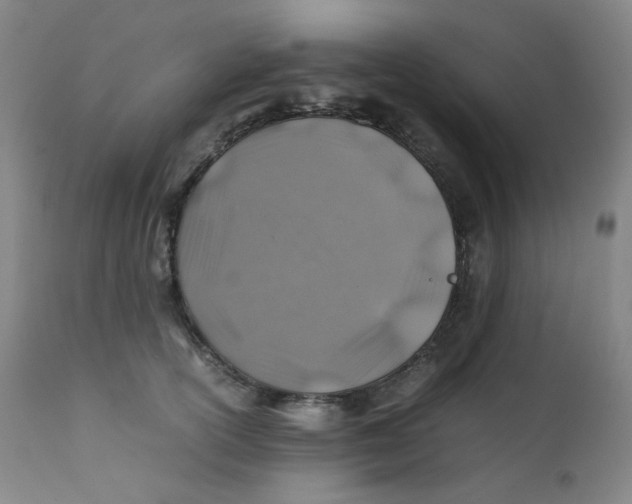 X0000112170754200909041150