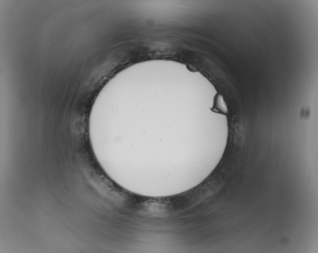 X0000112170756200909041150