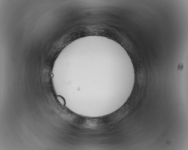 X0000112170757200909041150