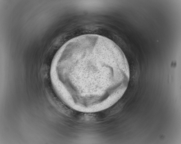 X0000112170758200909041150