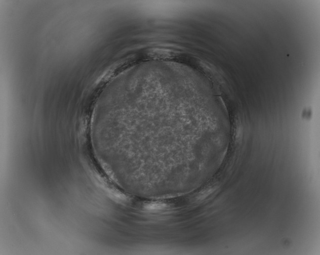 X0000112170759200909041151