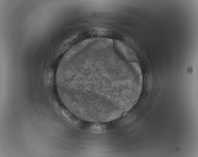 X0000112170760200909041151