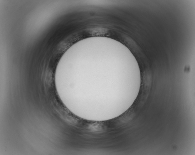 X0000112170761200909041151