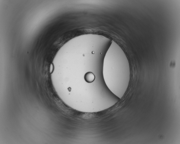 X0000112170762200909041151