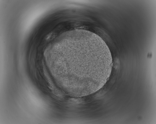 X0000112170763200909041151