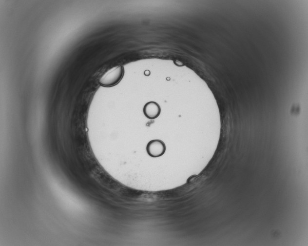 X0000112170764200909041151