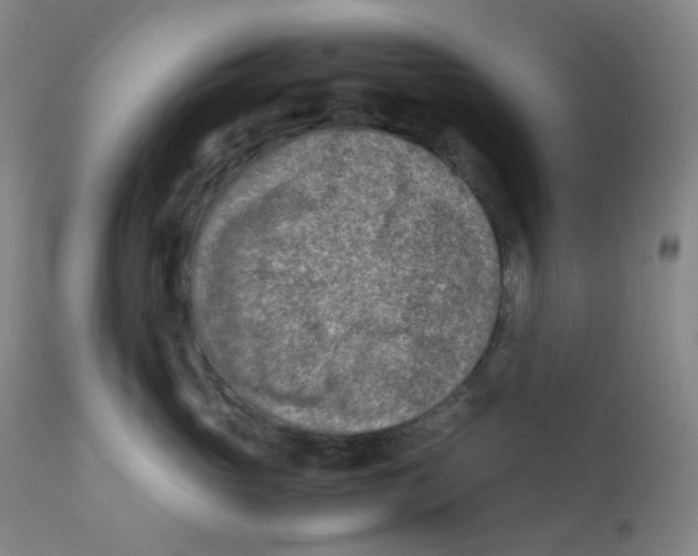 X0000112170765200909041151