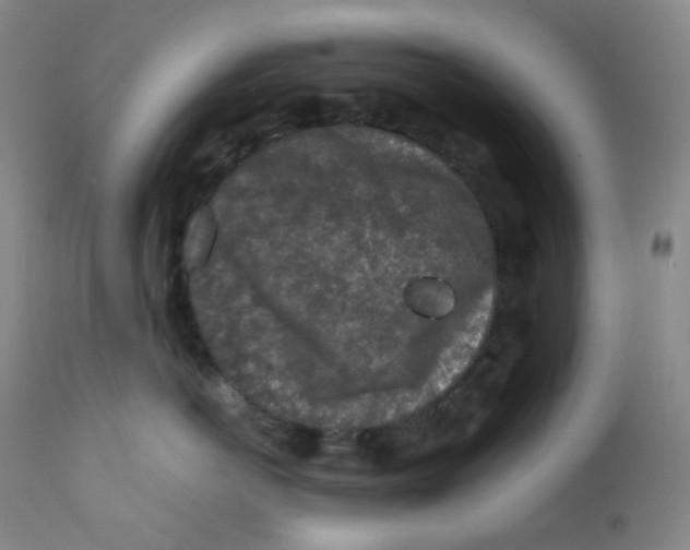 X0000112170766200909041151