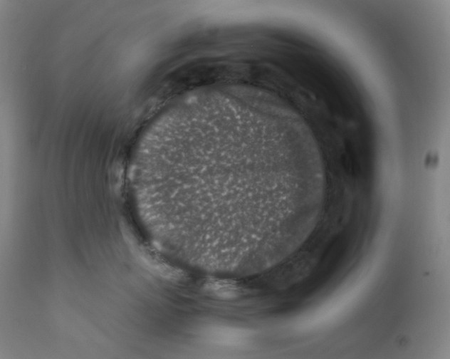 X0000112170767200909041151