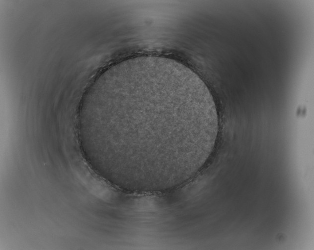 X0000112170769200909041150