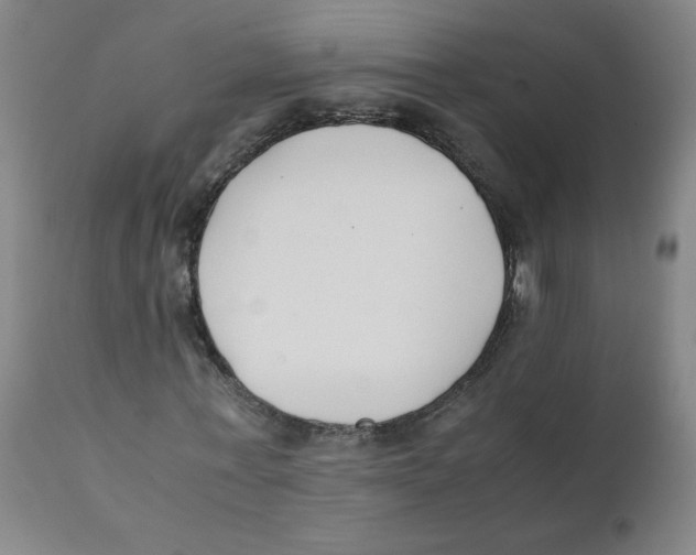 X0000112170771200909041150