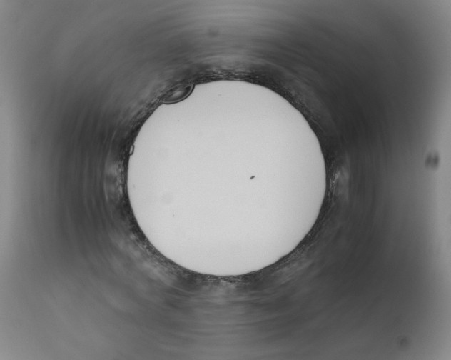 X0000112170772200909041150