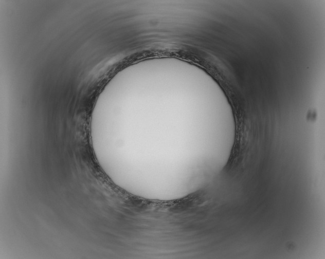 X0000112170773200909041150