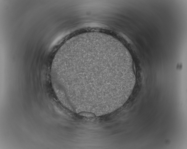 X0000112170775200909041150