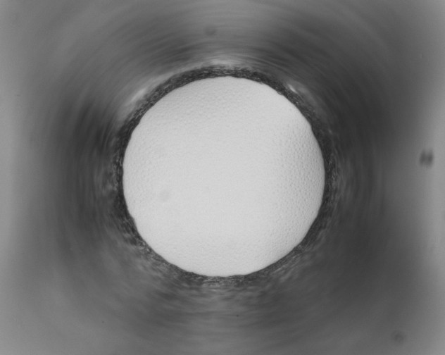 X0000112170776200909041150