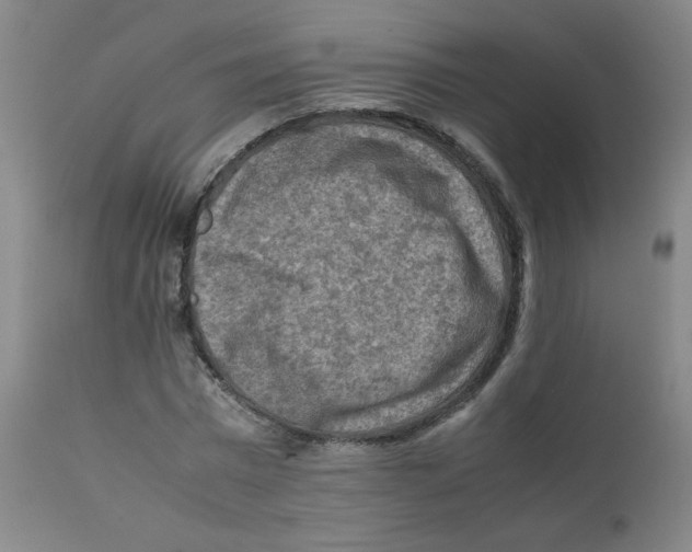 X0000112170777200909041150