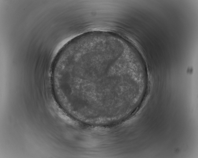 X0000112170779200909041150