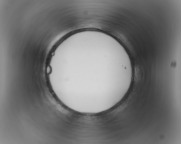 X0000112170780200909041150