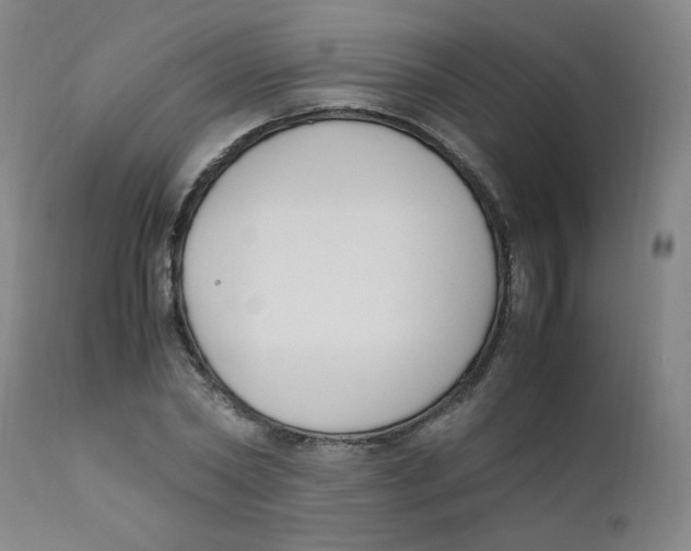 X0000112170782200909041150