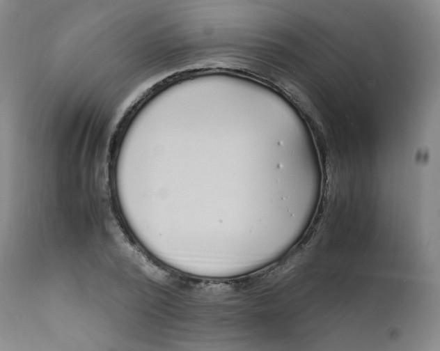 X0000112170784200909041150