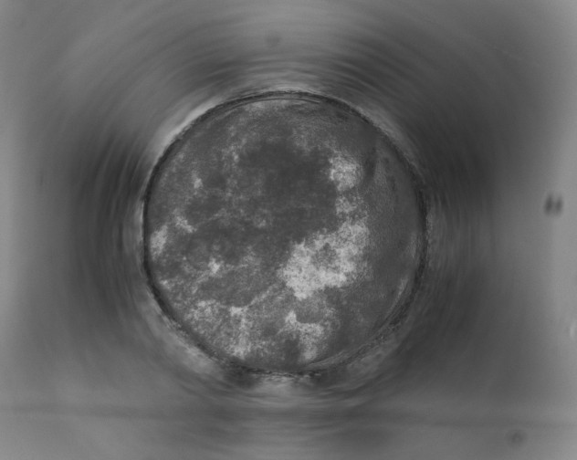 X0000112170790200909041150