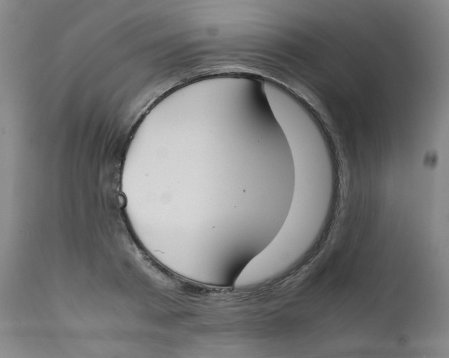 X0000112170793200909041150