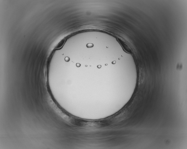 X0000112170796200909041150