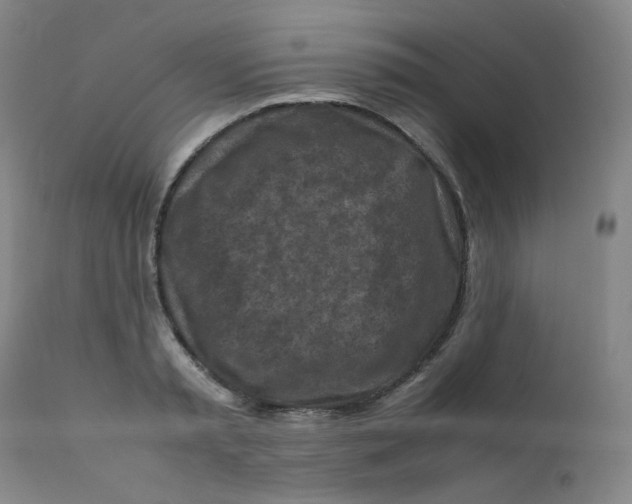 X0000112170797200909041150