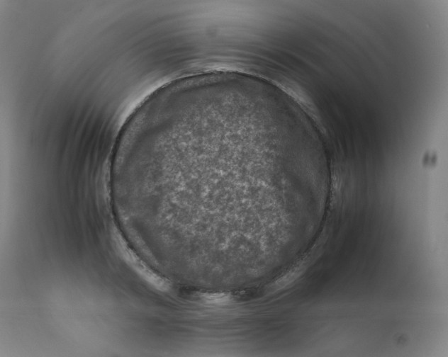 X0000112170798200909041150