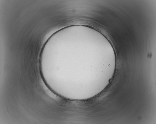 X0000112170803200909041150