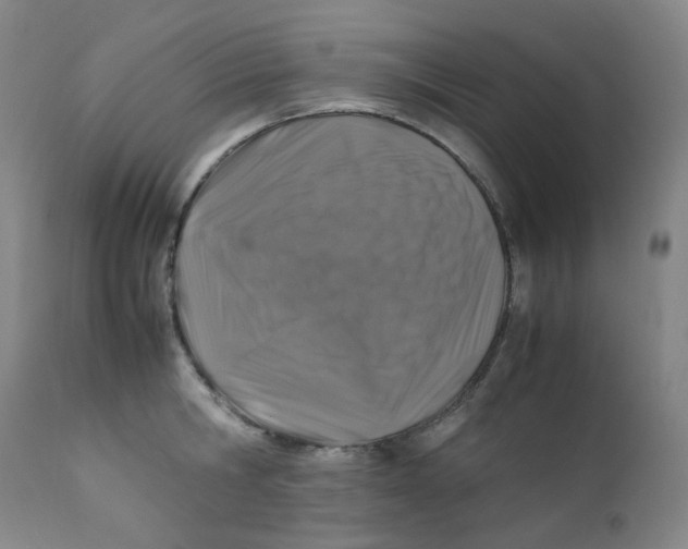 X0000112170806200909041149