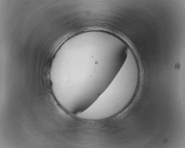 X0000112170809200909041149