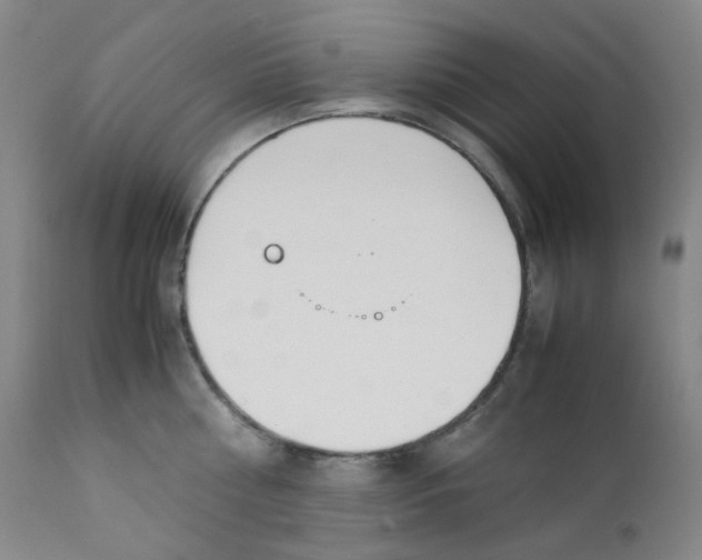 X0000112170810200909041149