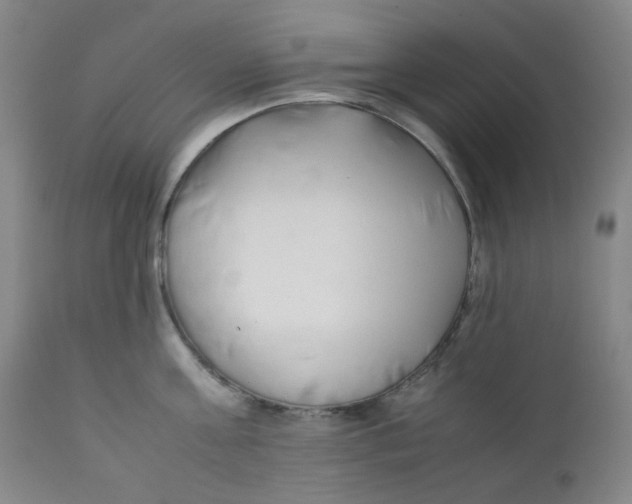 X0000112170811200909041149