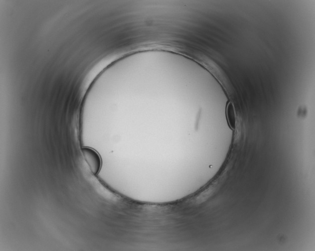 X0000112170812200909041149