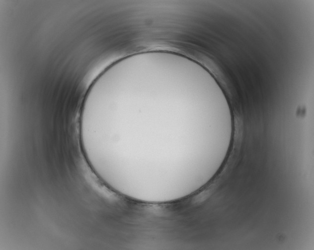 X0000112170814200909041149