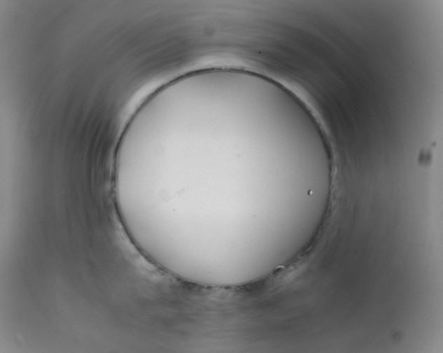 X0000112170815200909041149