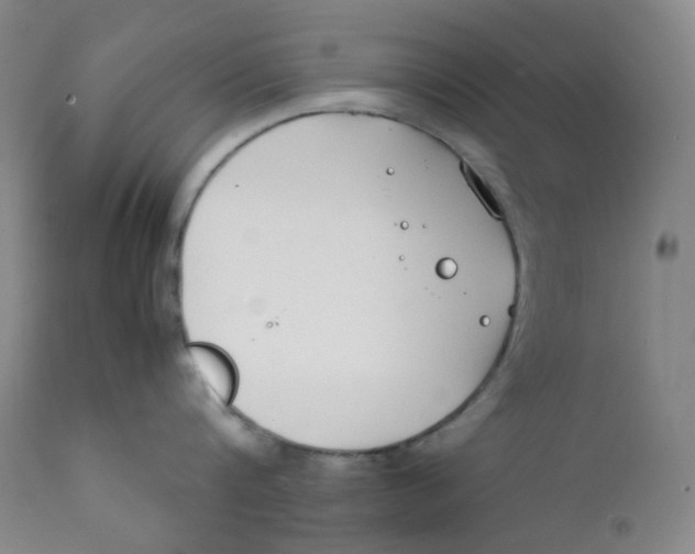 X0000112170816200909041149